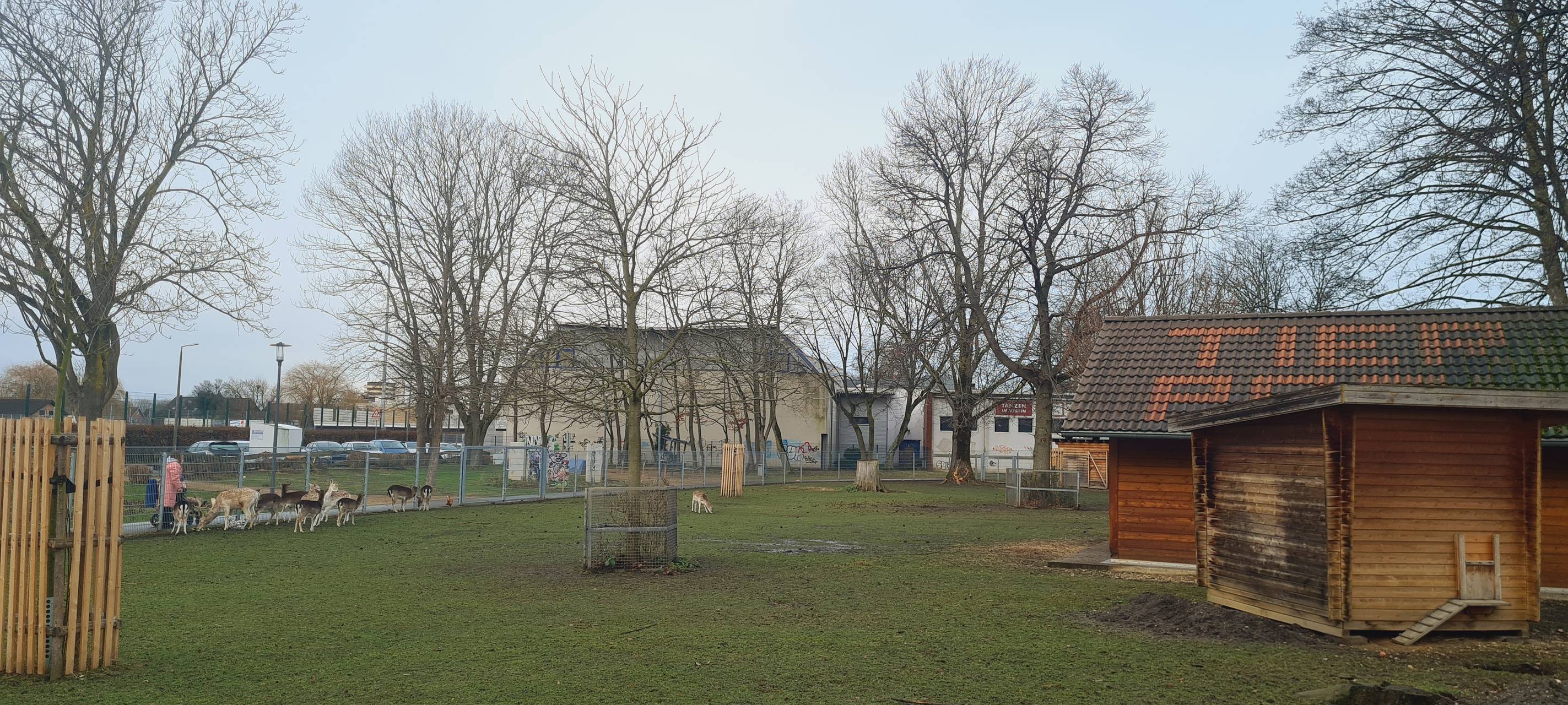 50 Jahre Bergheim
