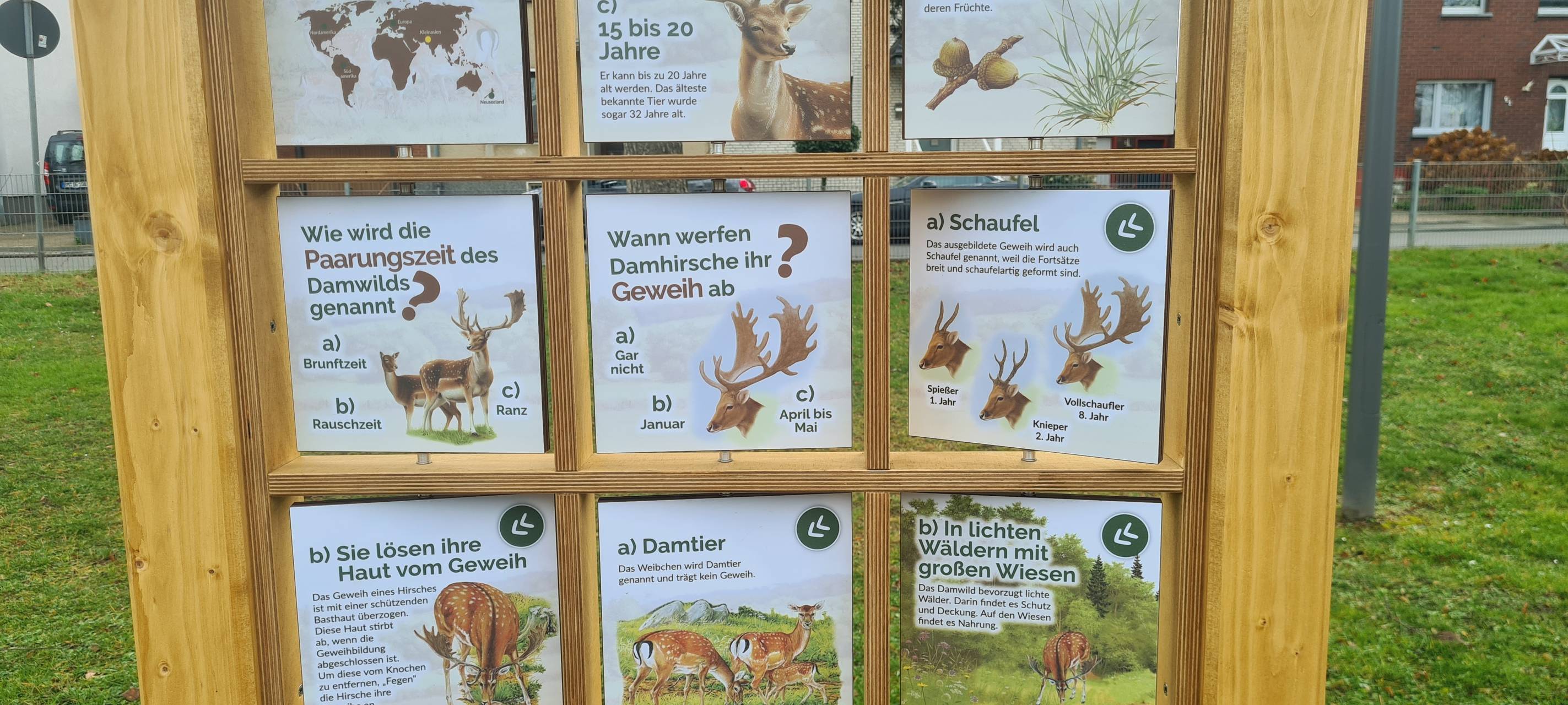50 Jahre Bergheim