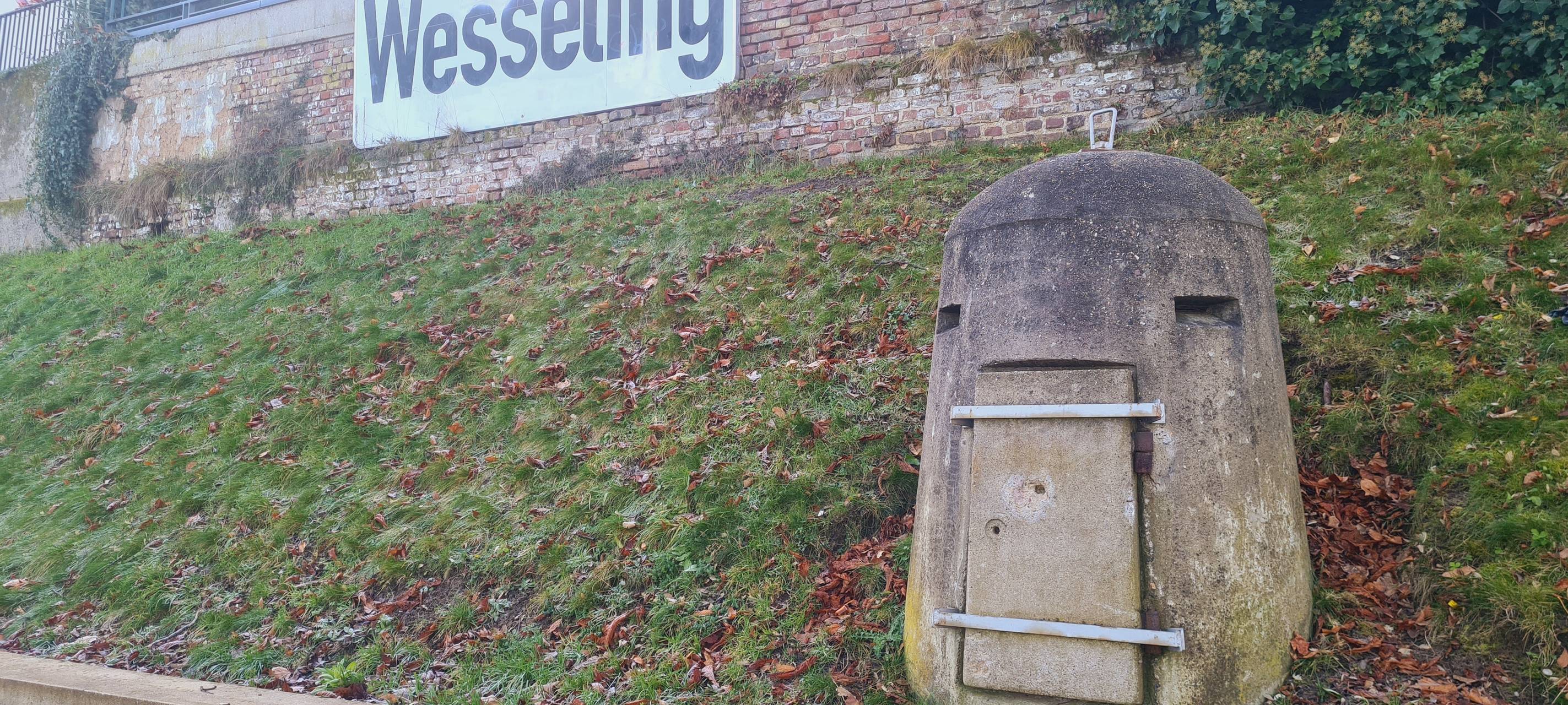 Leihräder am RheinSchwan in Wesseling