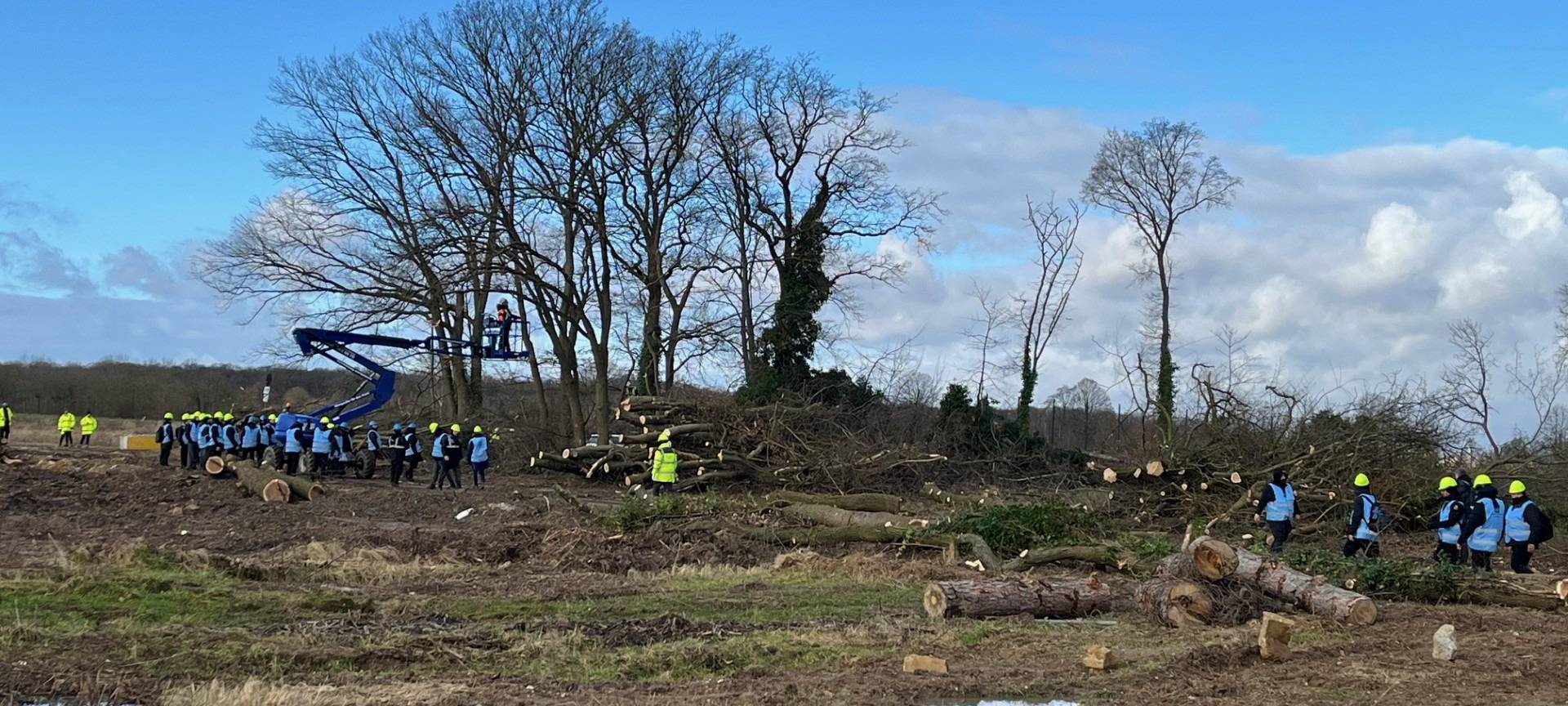 Rodung am Sündenwäldchen in Kerpen-Manheim gestartet