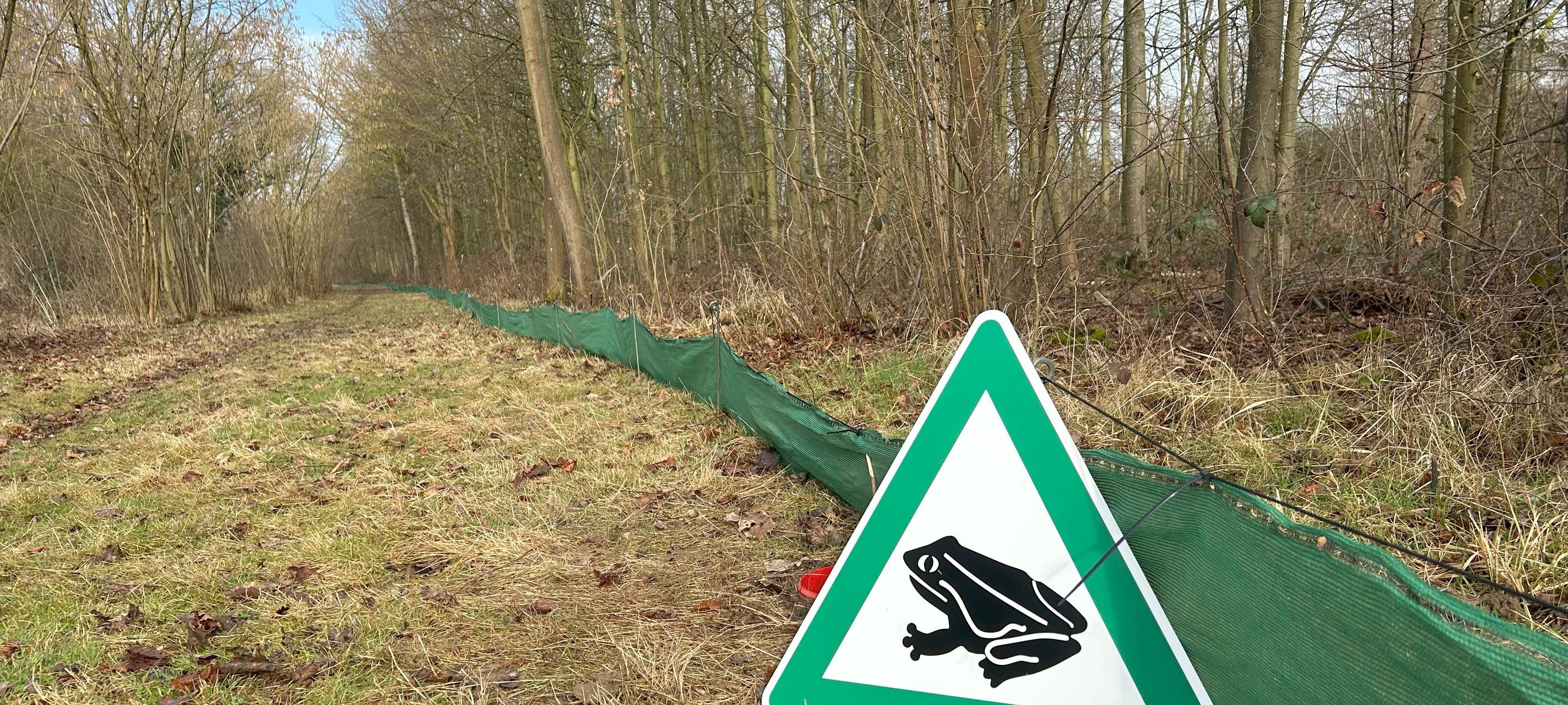 Umweltschecks für Amphibienschutz im Rhein-Erft-Kreis