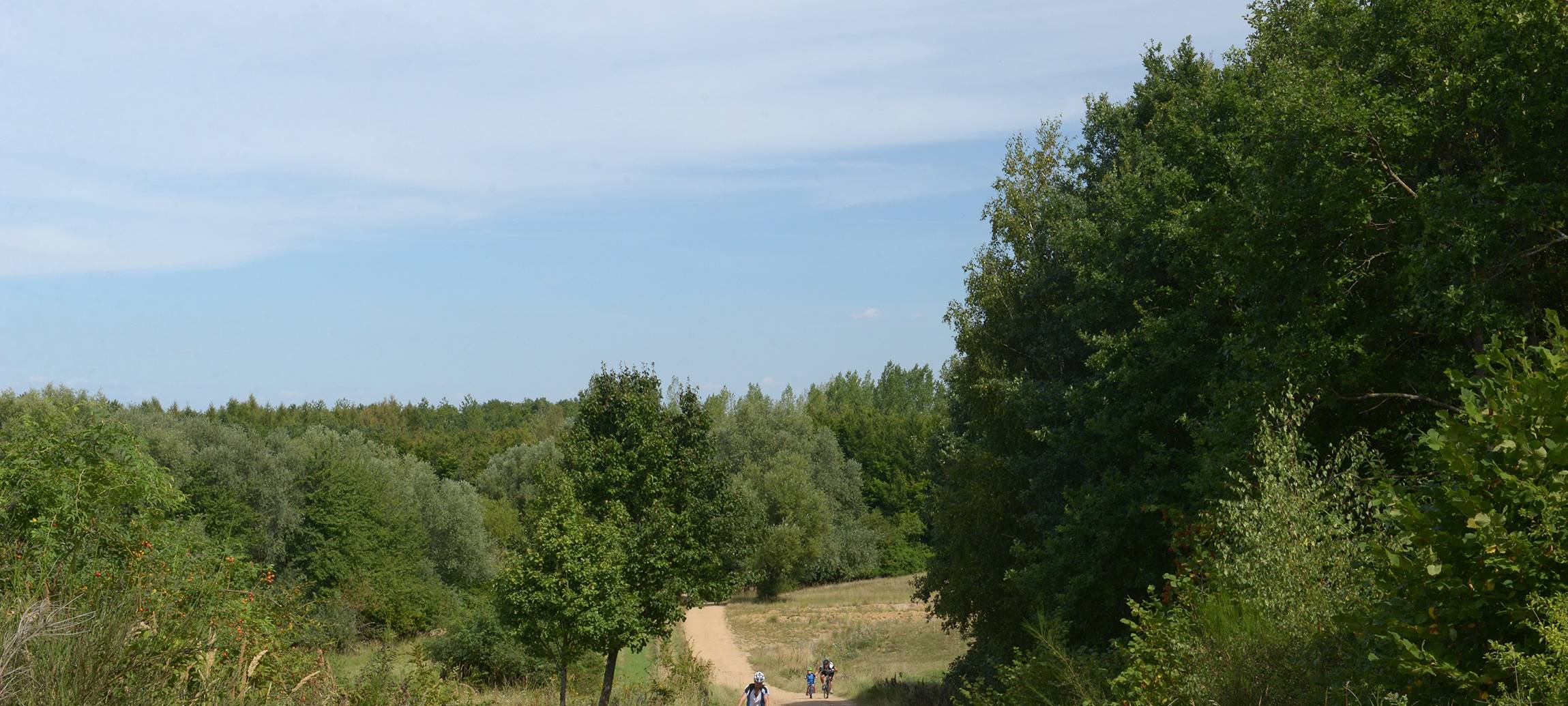 GravelRide auf der Sophienhöhe: Rad-Event bei Elsdorf