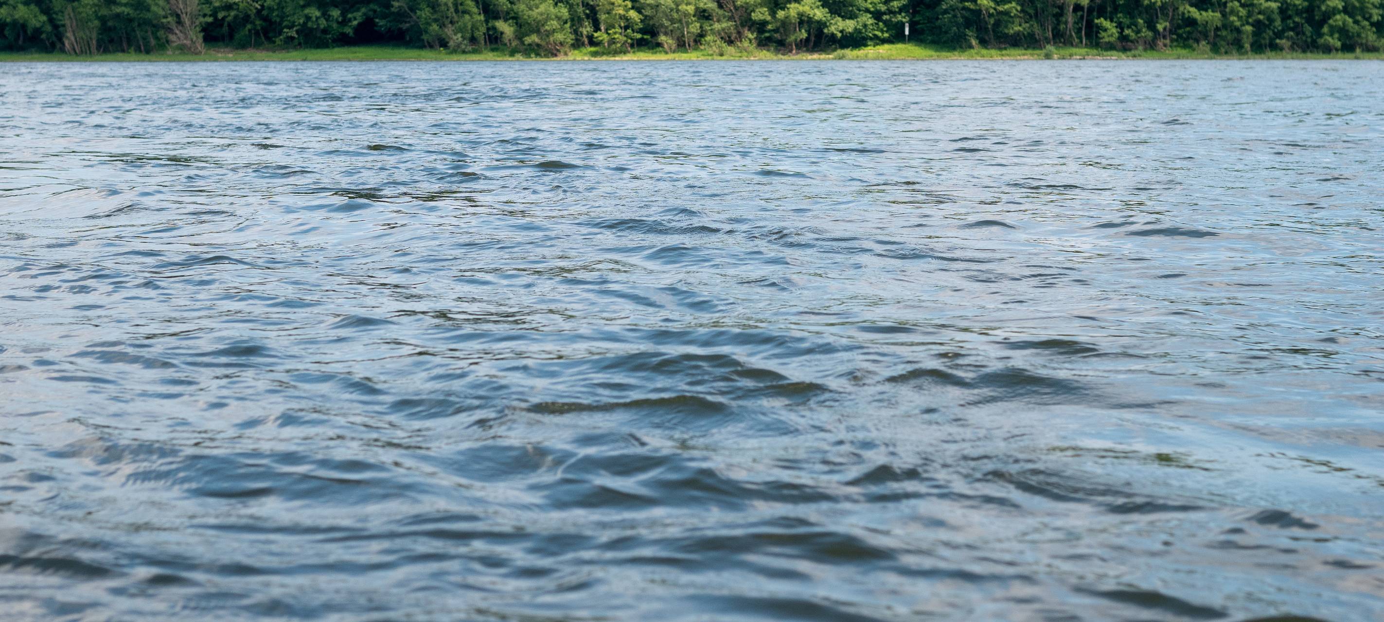 Sommer: Die besten Badeseen bei uns im Rhein-Erft-Kreis
