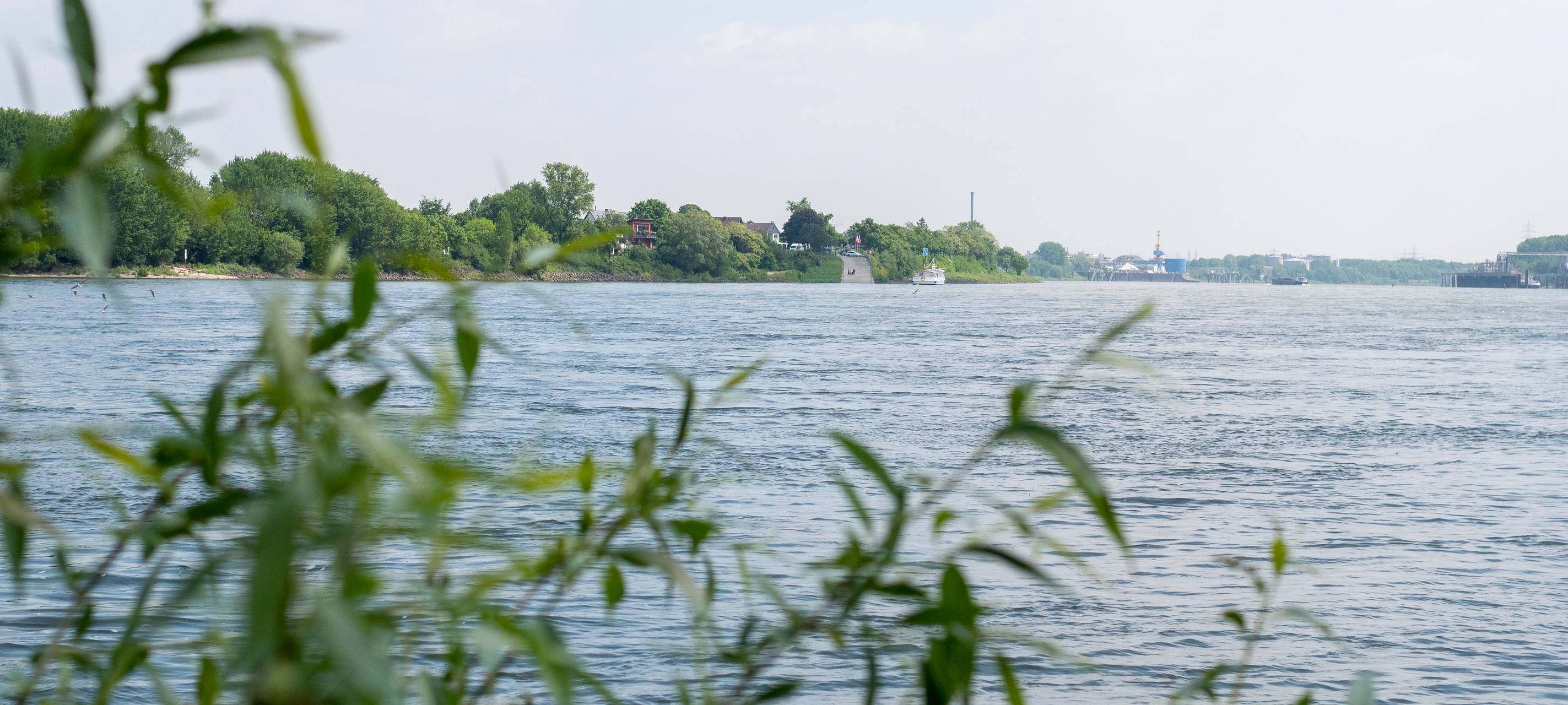 Wesseling/Köln: Jetski-Fahrer werden kontrolliert