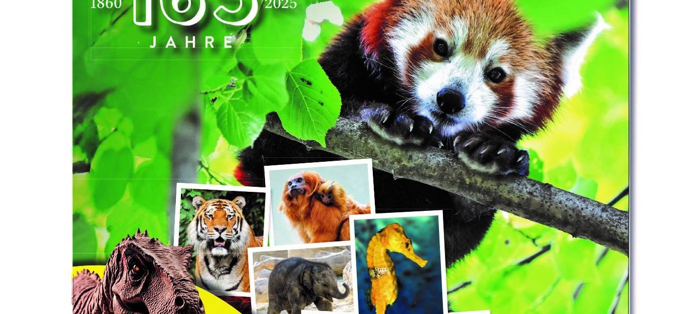 Kölner Zoo feiert 165 Jahre mit Panini-Album
