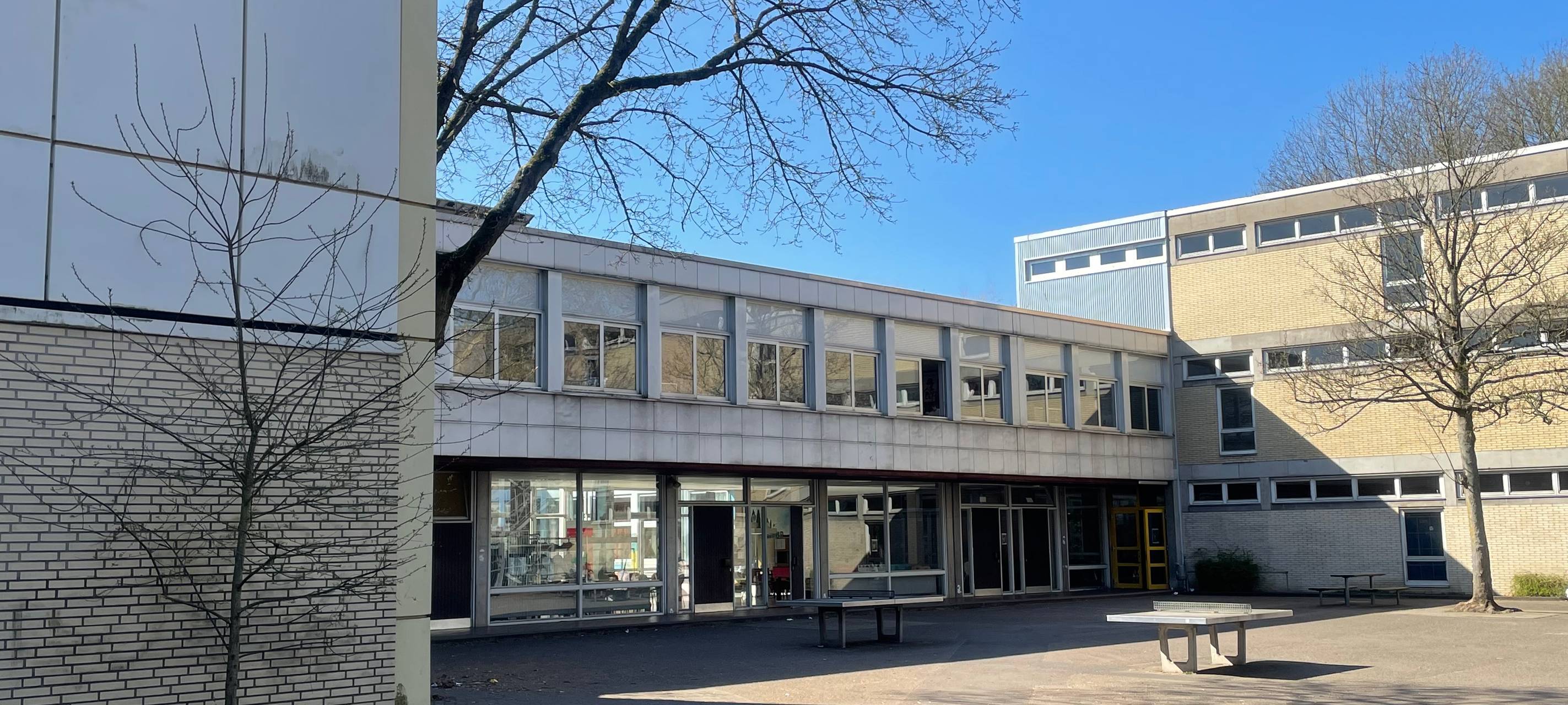 Frechener Gymnasium erhält DKMS-Siegel