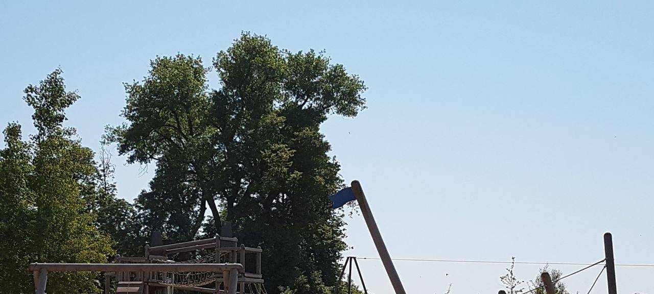 Kinder können beim Spielplatz mitbestimmen