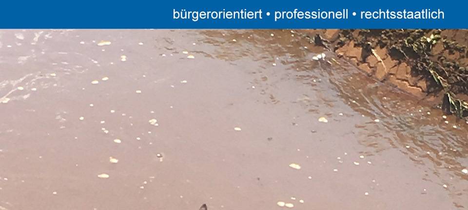 Rehbock in Pulheim gerettet