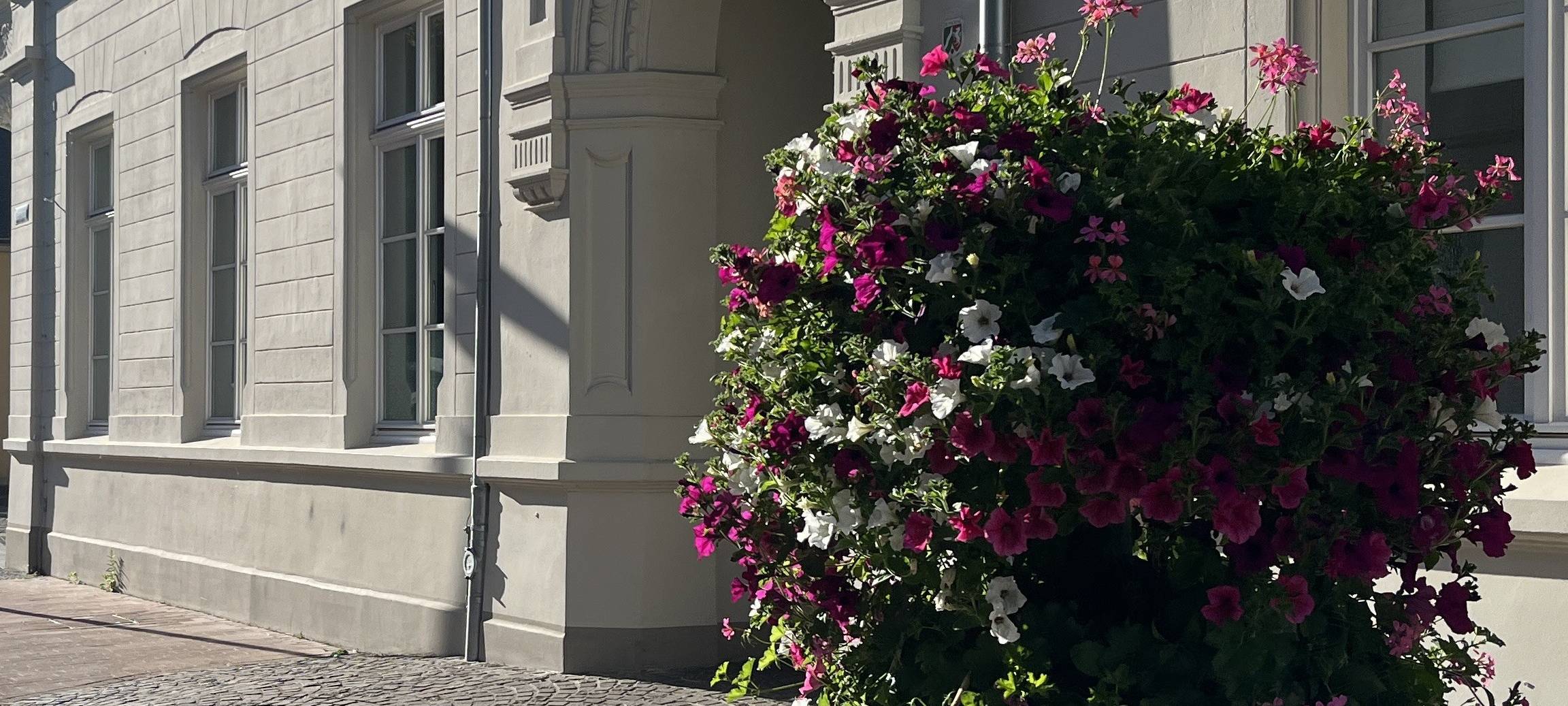 Brühler Innenstadt erstrahlt mit Blumenpyramiden