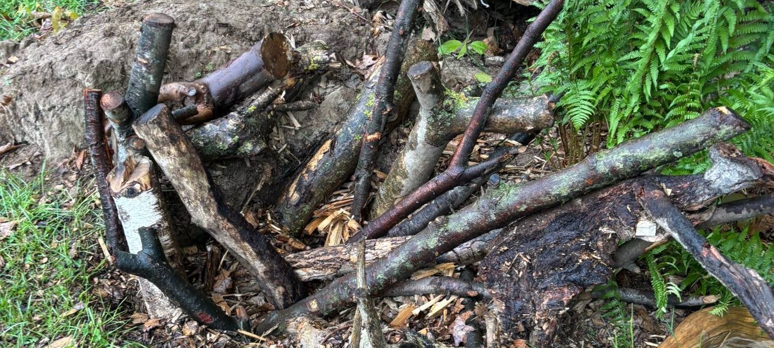 Zerstörter Käferkeller im Pulheimer Nordpark