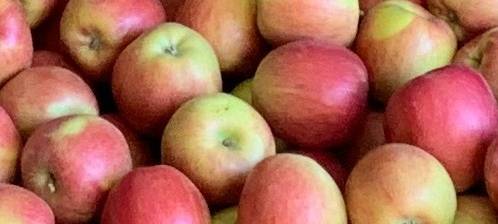 "Feldgespräche" in Fliesteden über regionale Lebensmittel