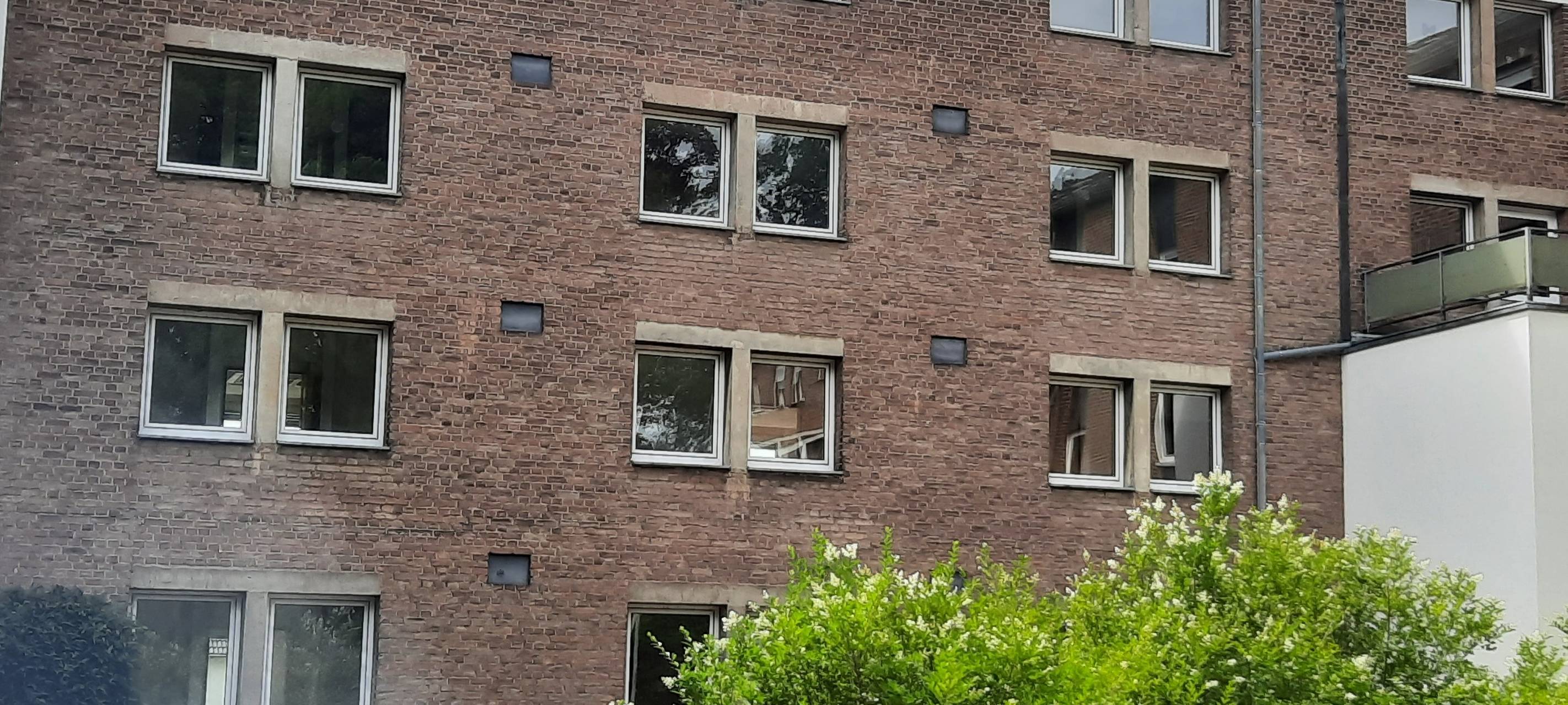 Strukturwandel im Rhein-Erft-Kreis: Vielfalt im Fokus