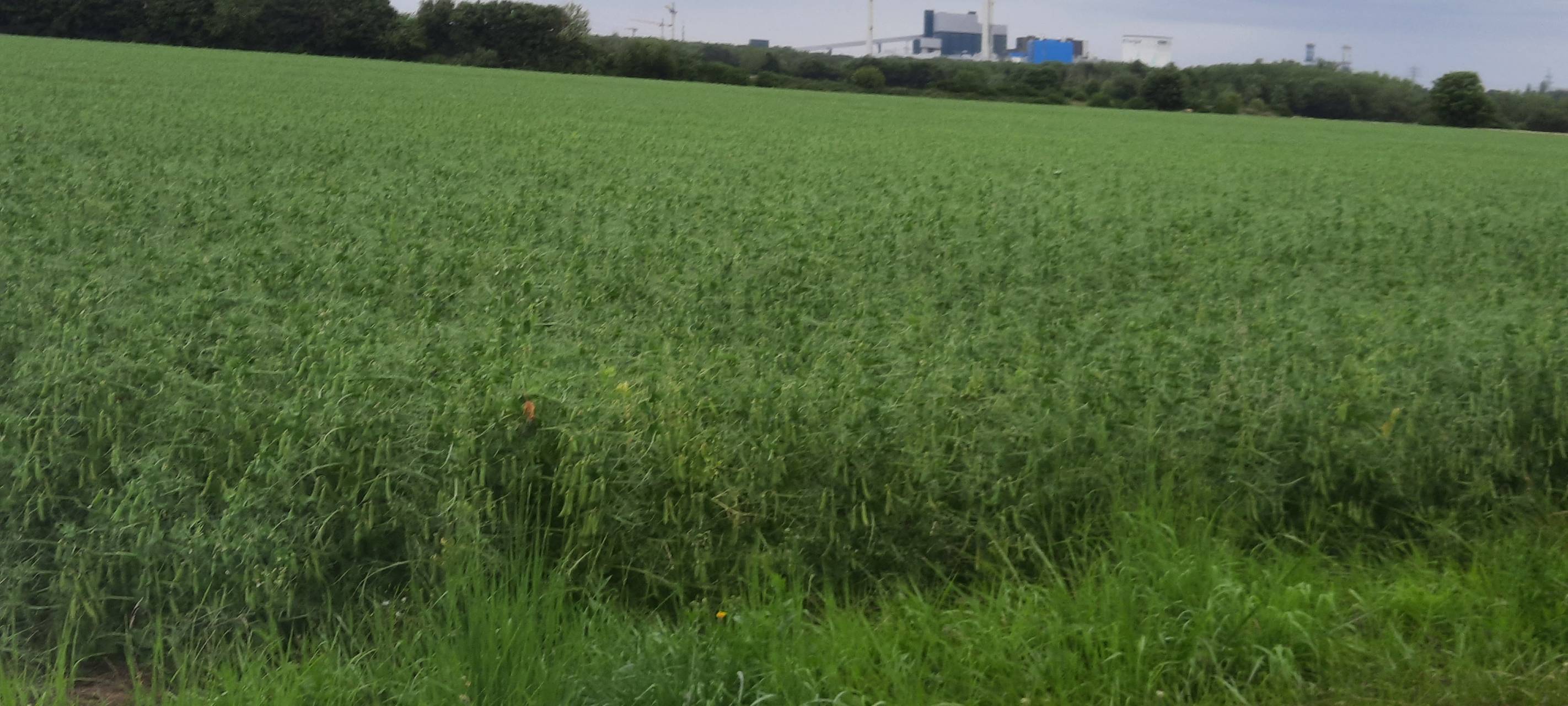 Hürth/Erftstadt: Planungen für Gewerbegebiet „Villepark“