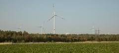 Bergheimer Windpark wächst