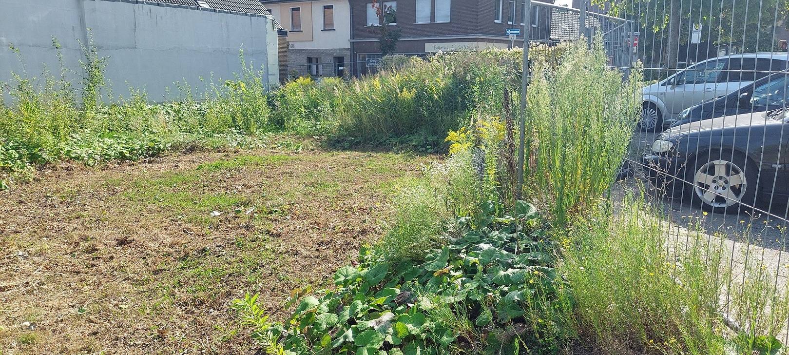 Neuer Park in Alt-Hürth entsteht vorübergehend