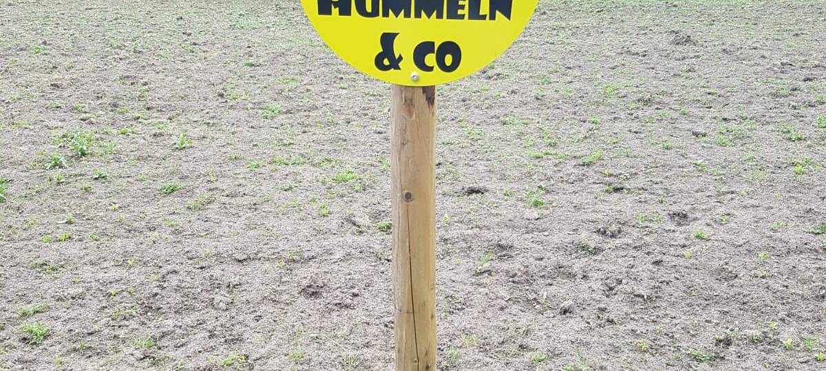 In Frechen wird es bunt