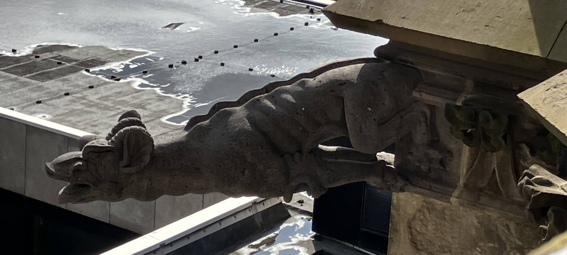 Wasserspeier als Entschuldigung am Kölner Dom eingeweiht