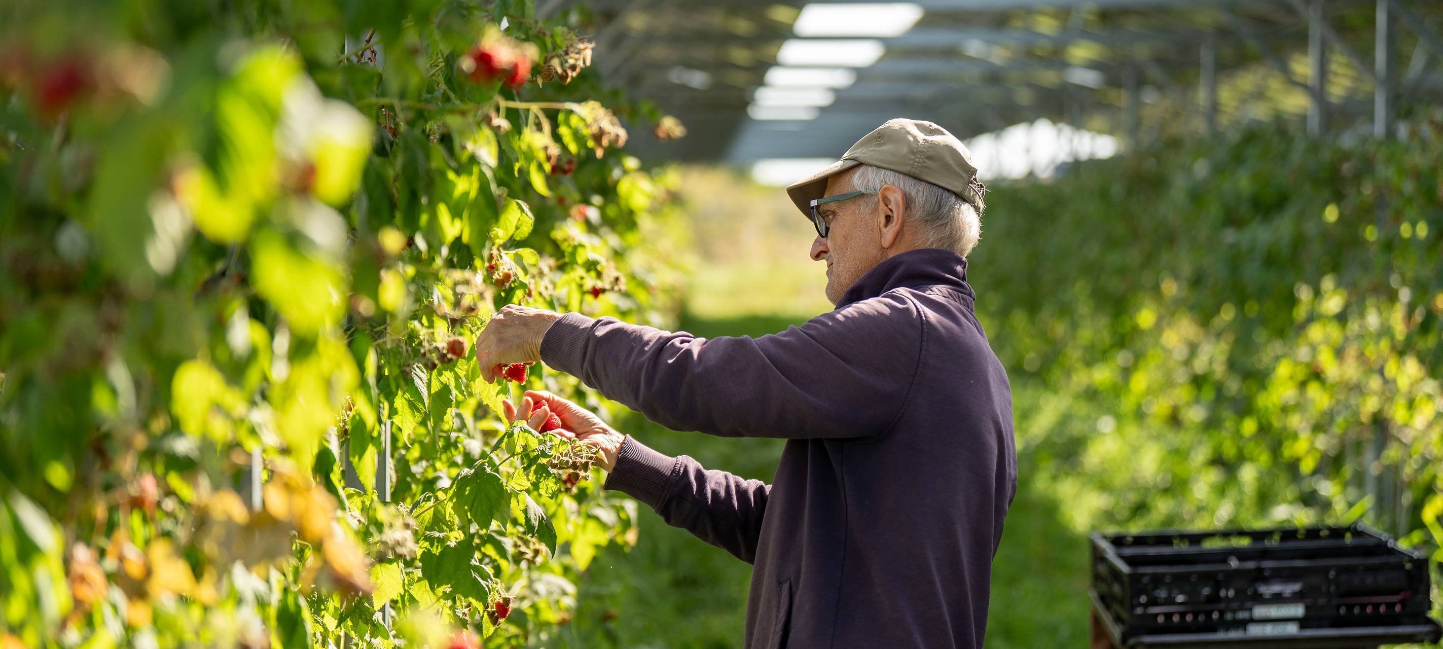Läuft gut: PV-Anlagen und Landwirtschaft in Bedburg