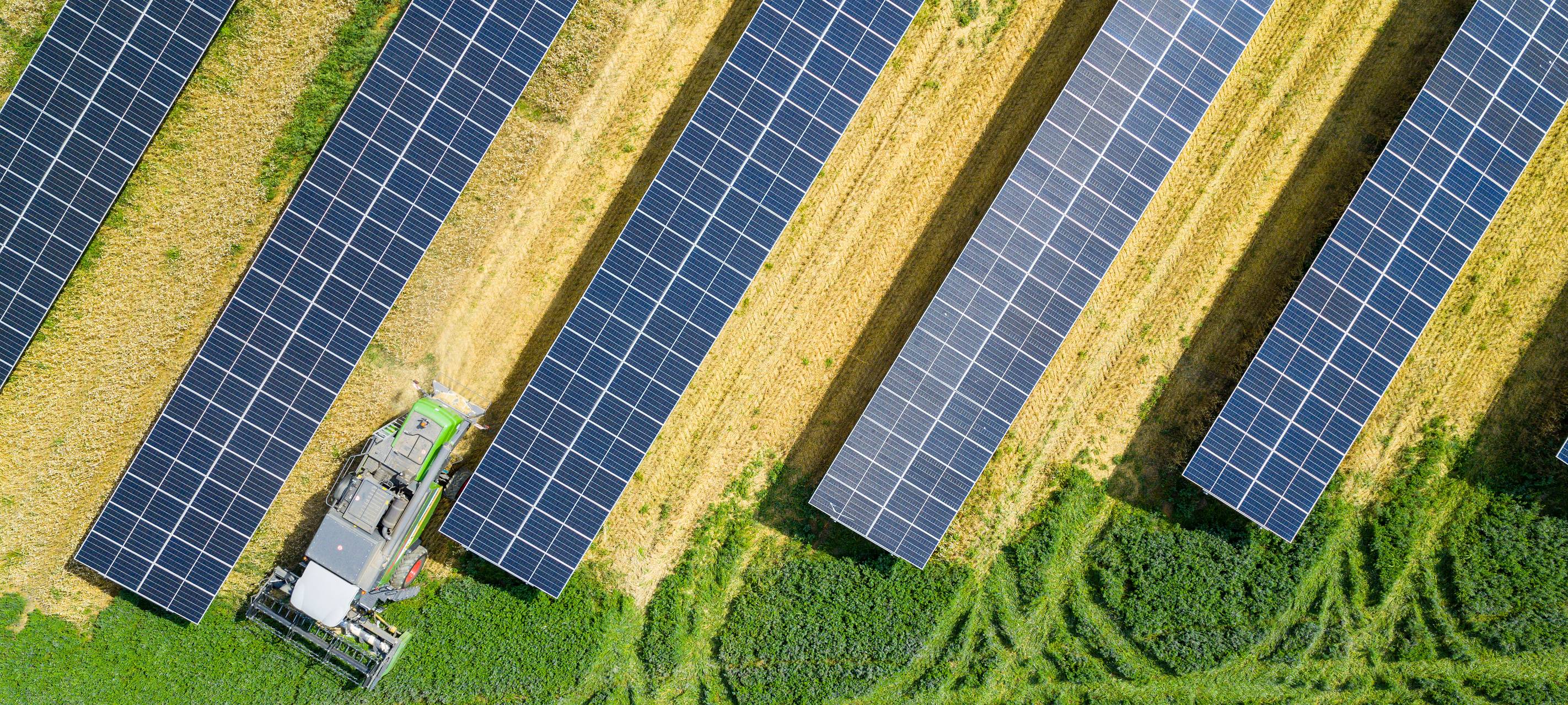 Läuft gut: PV-Anlagen und Landwirtschaft in Bedburg