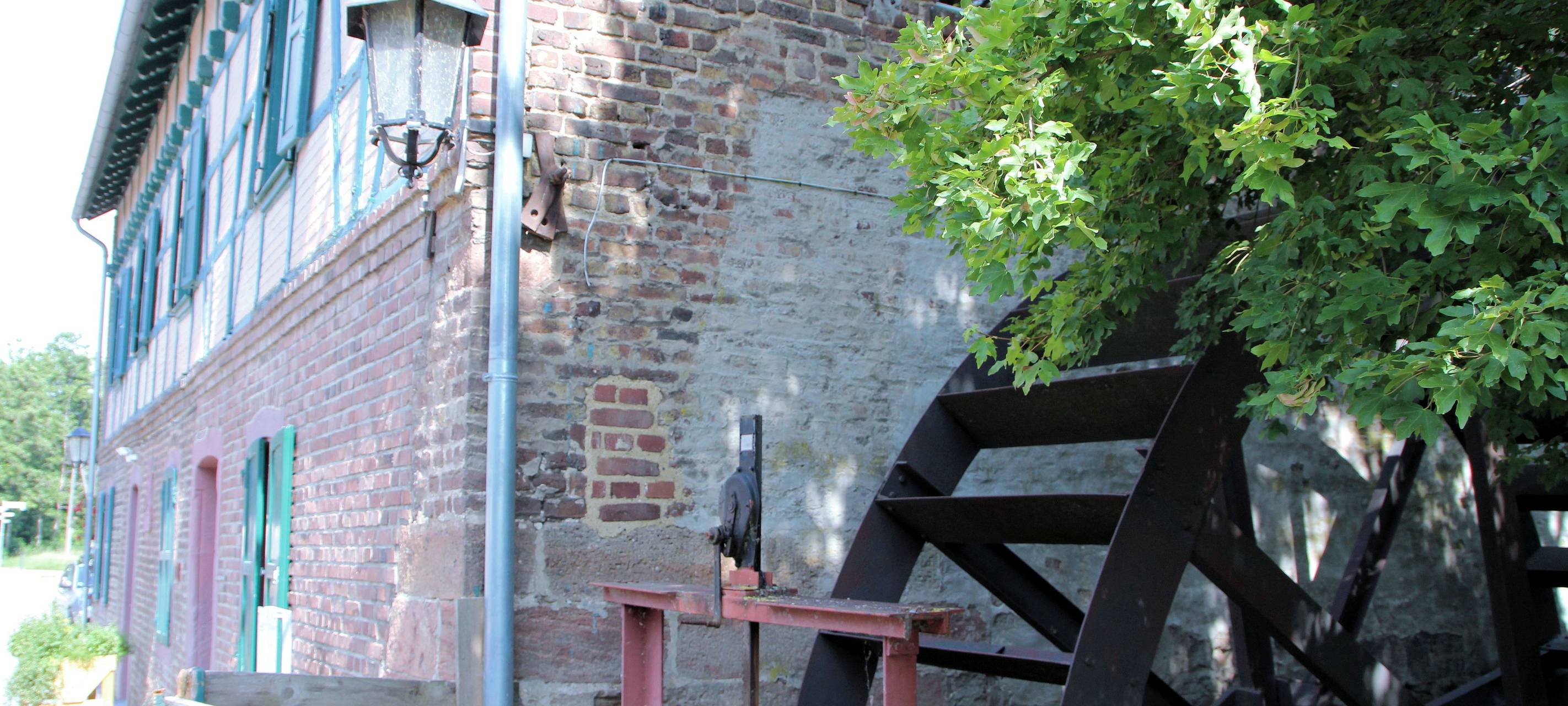 Aktionstag an der Gymnicher Mühle