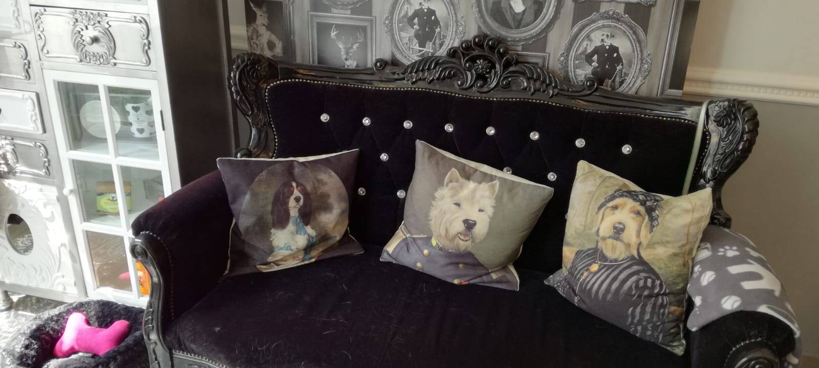 Hundesalon bietet "besten Job der Welt"
