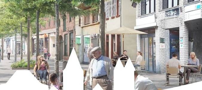 Baumfällarbeiten in Bergheimer Innenstadt