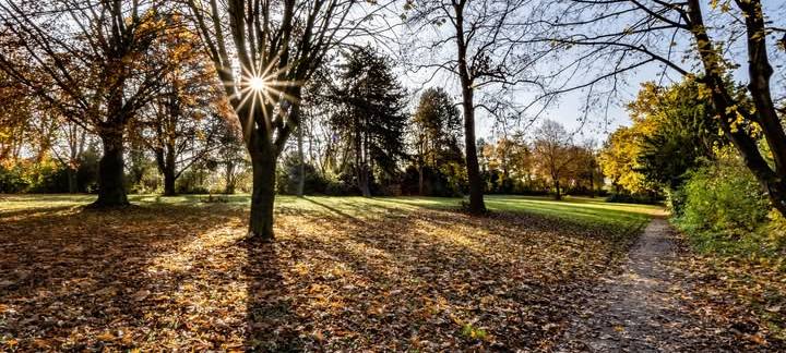 Arbeiten im Bedburger Schlosspark