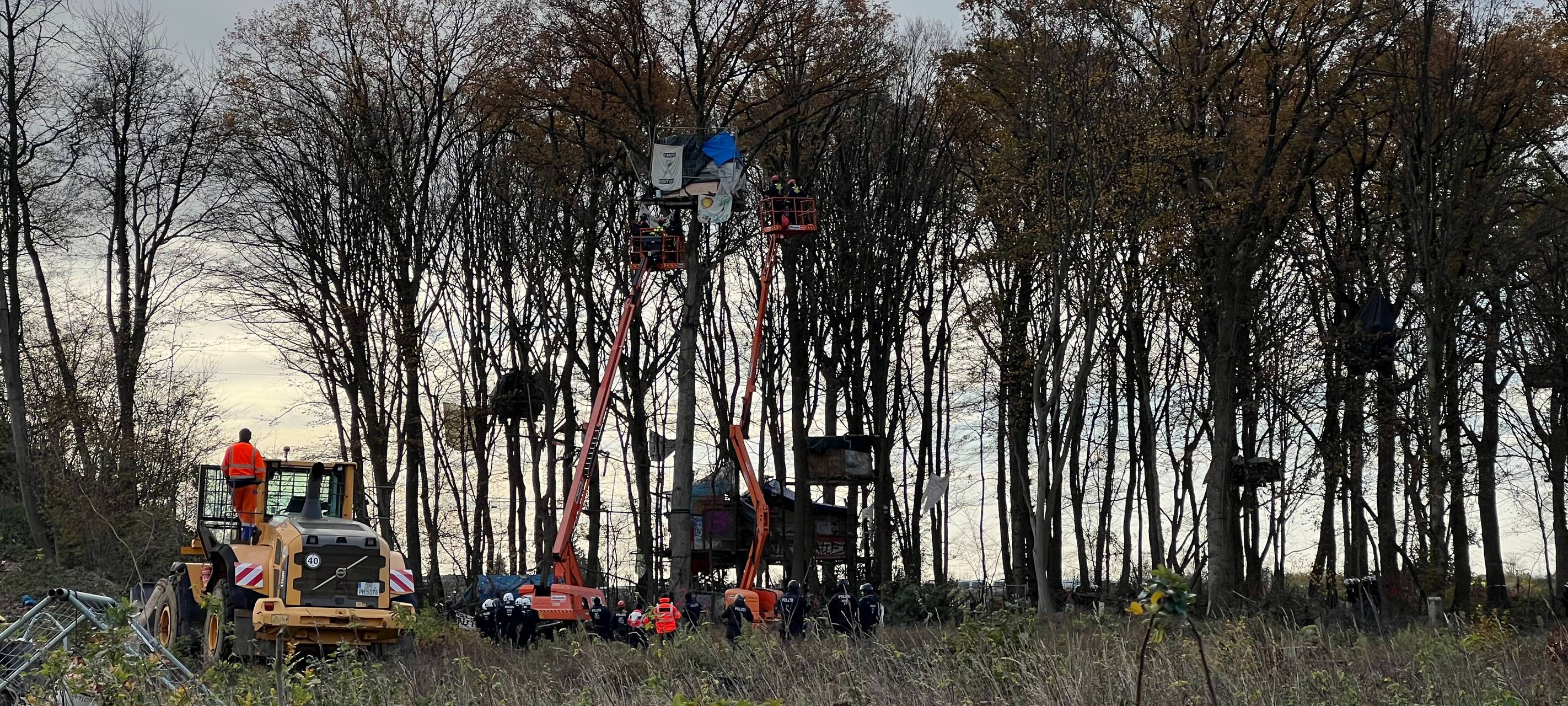 Kerpen-Manheim: Polizei räumt das Sündenwäldchen