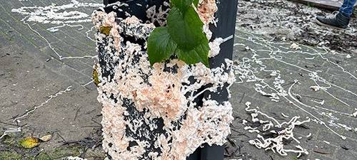 Vandalismus im Mehrgenerationenpark in Bergheim
