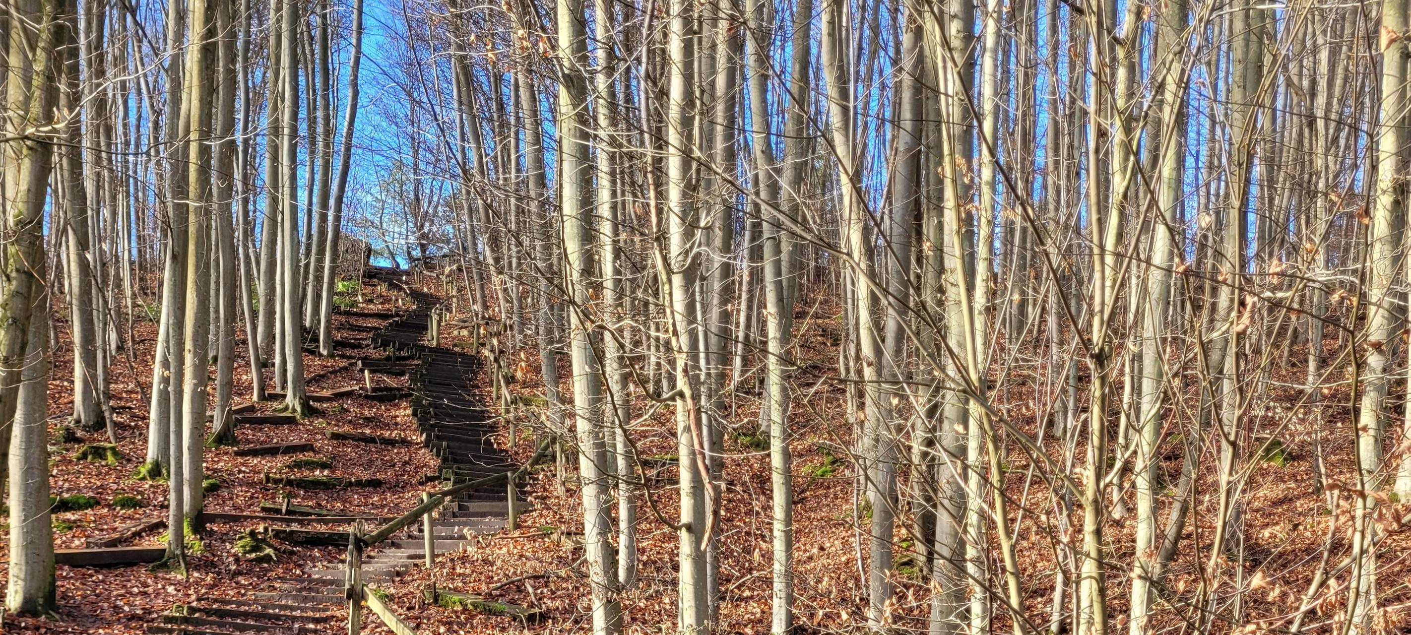 Sanierung der Himmelsleiter an der Glessener Höhe