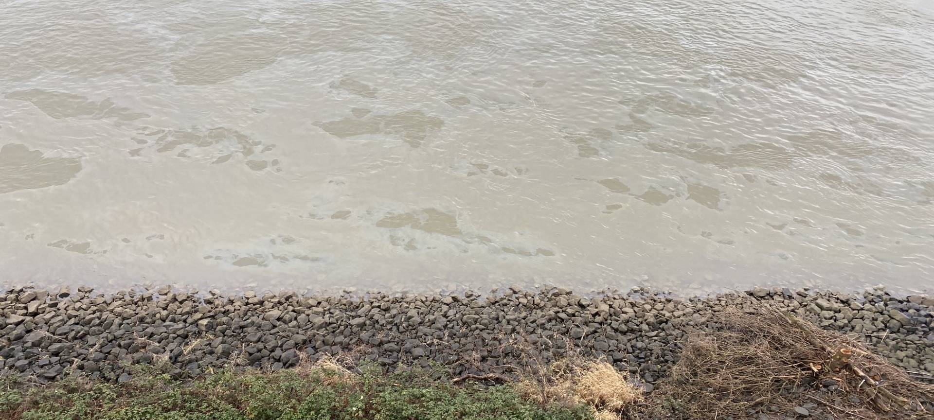 Ölteppich auf dem Rhein bei Wesseling entdeckt