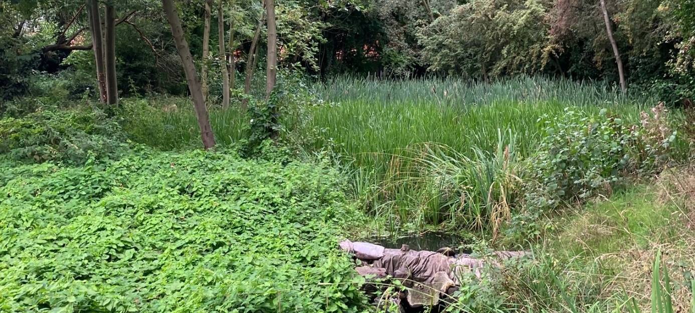 Renaturierung des Gleueler Bachs in Hürth gestartet