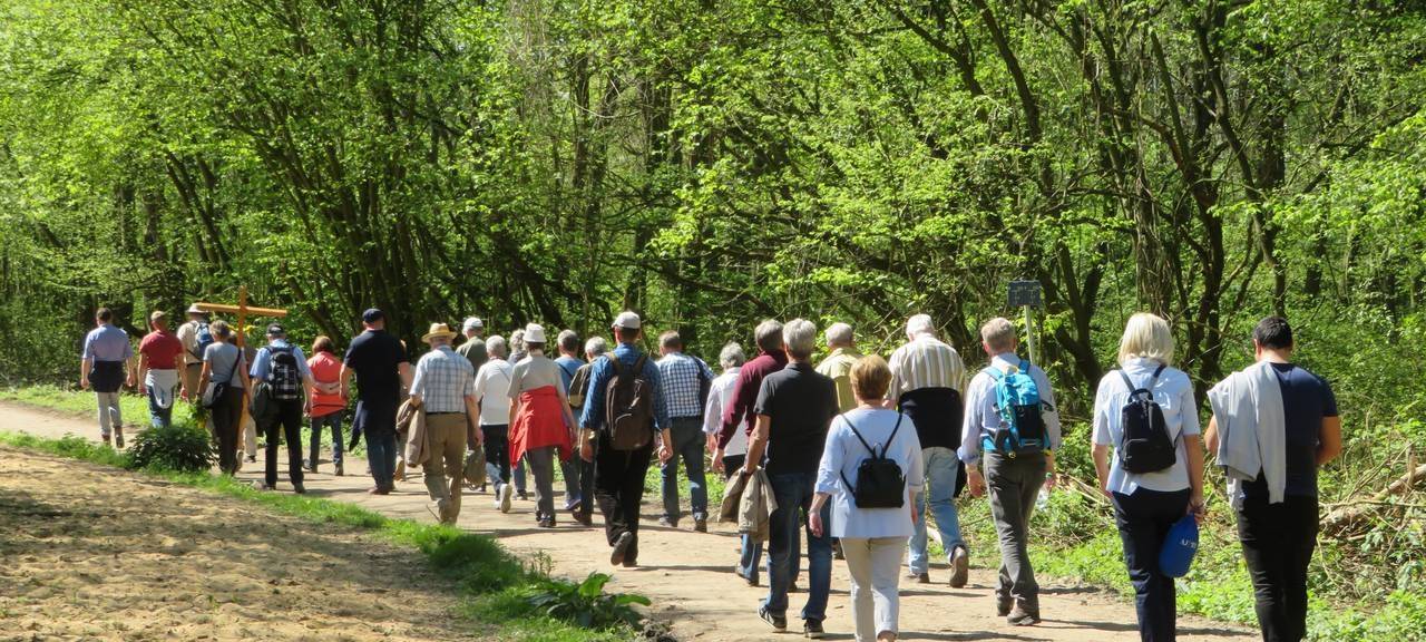 Großer Kreuzweg führt von Berrenrath nach Alt-Hürth