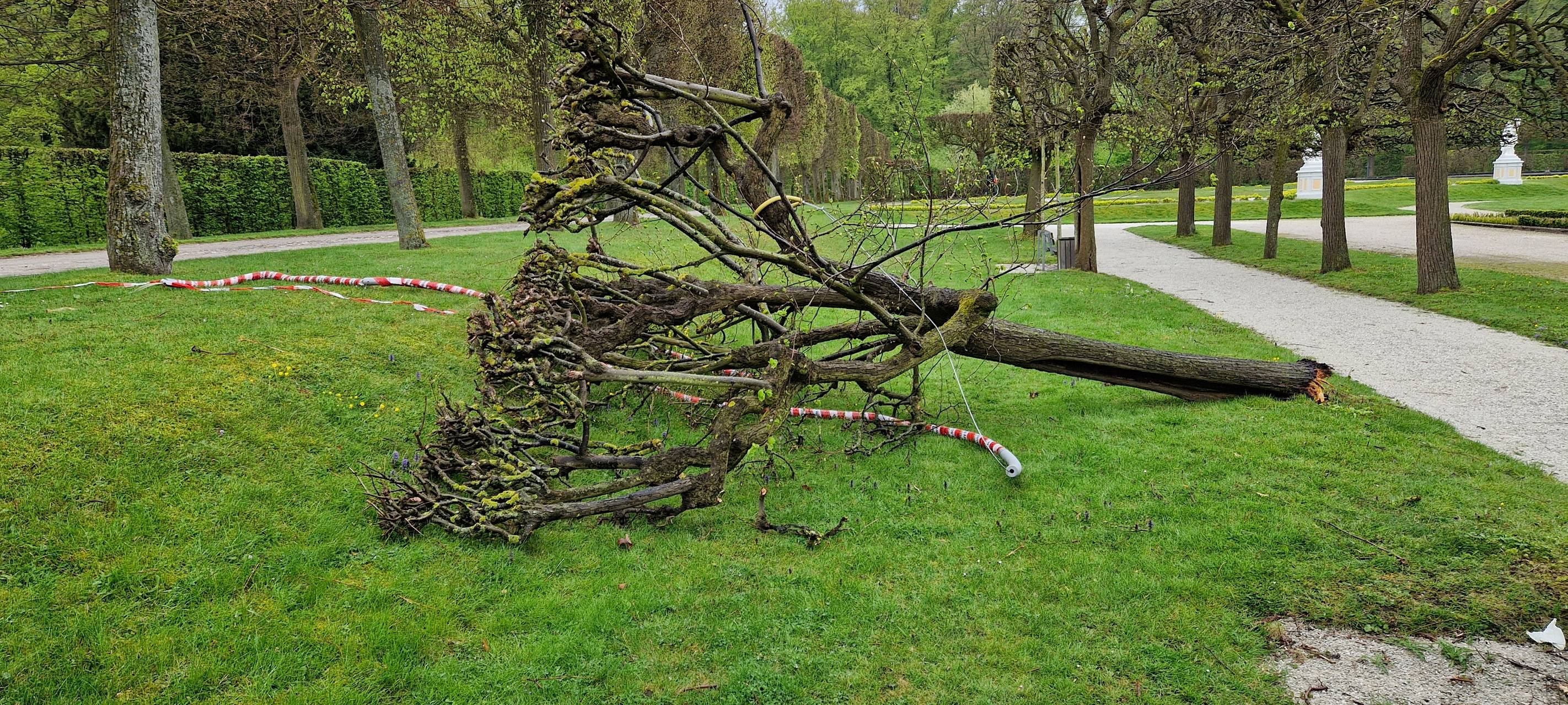 Unbekannte haben im Brühler Schlosspark Zerstörung angerichtet