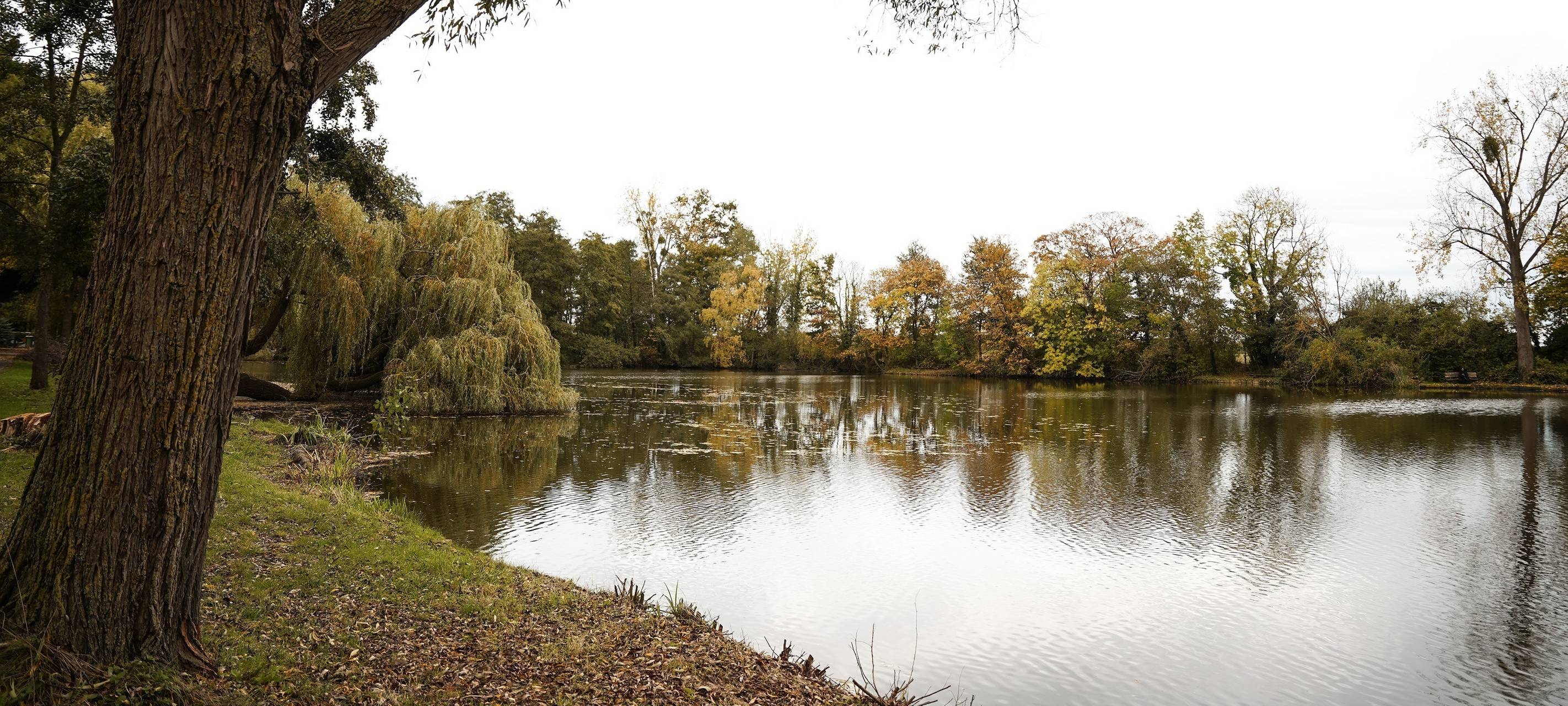 Elsdorf: Waffelaktion für Grouvener Weiher