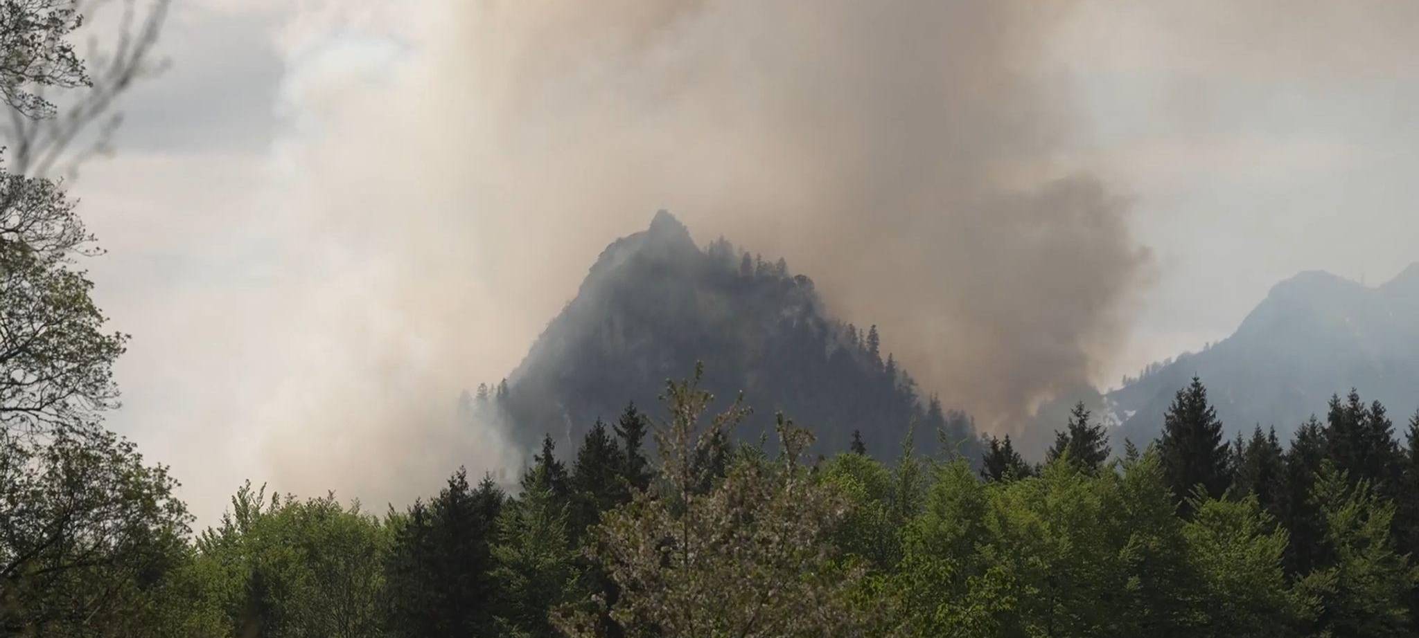 Waldbrand am Saurüsselkopf