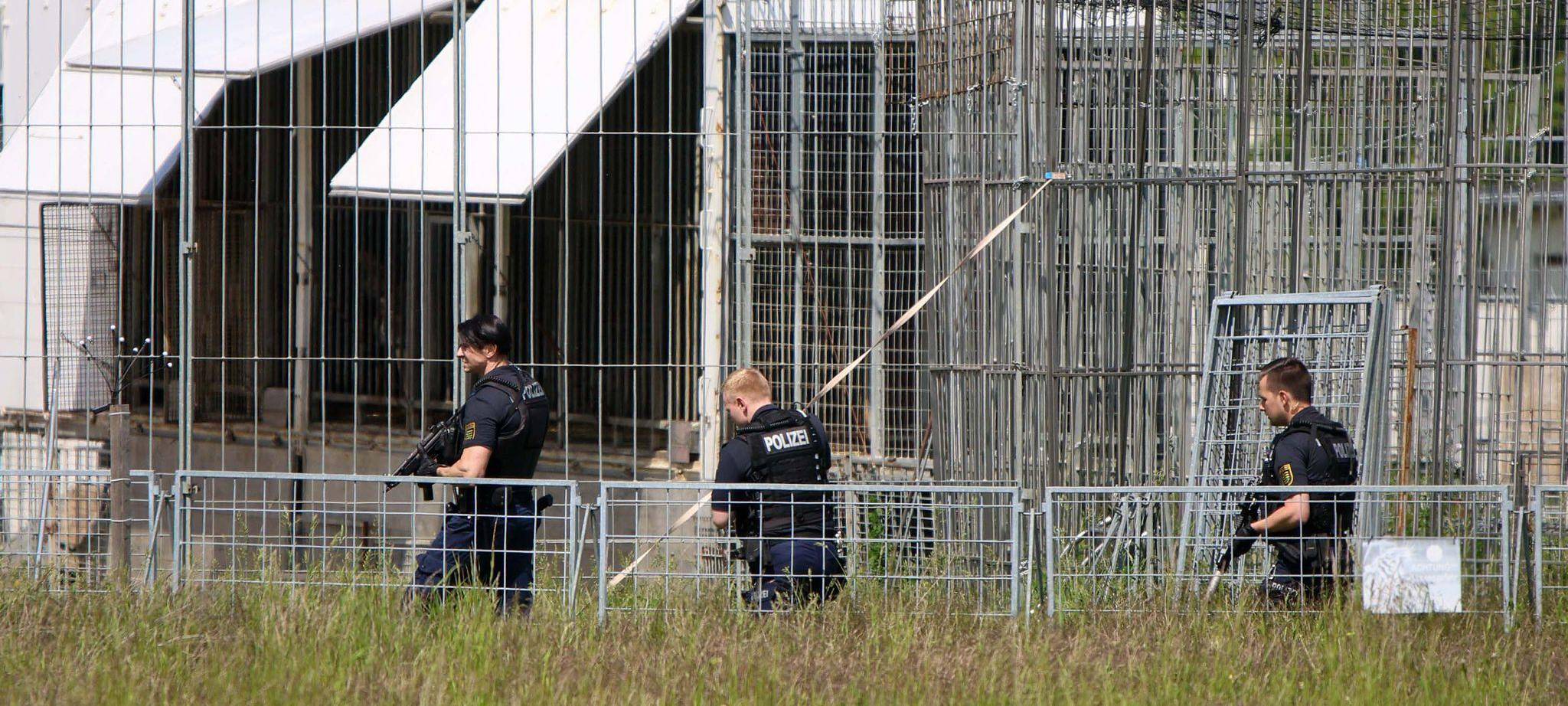 Polizei erschießt entlaufenen Tiger bei Leipzig