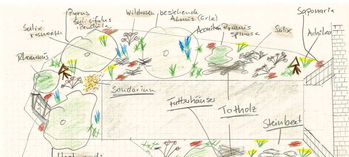 Naturgarten im CJD Frechen eröffnet