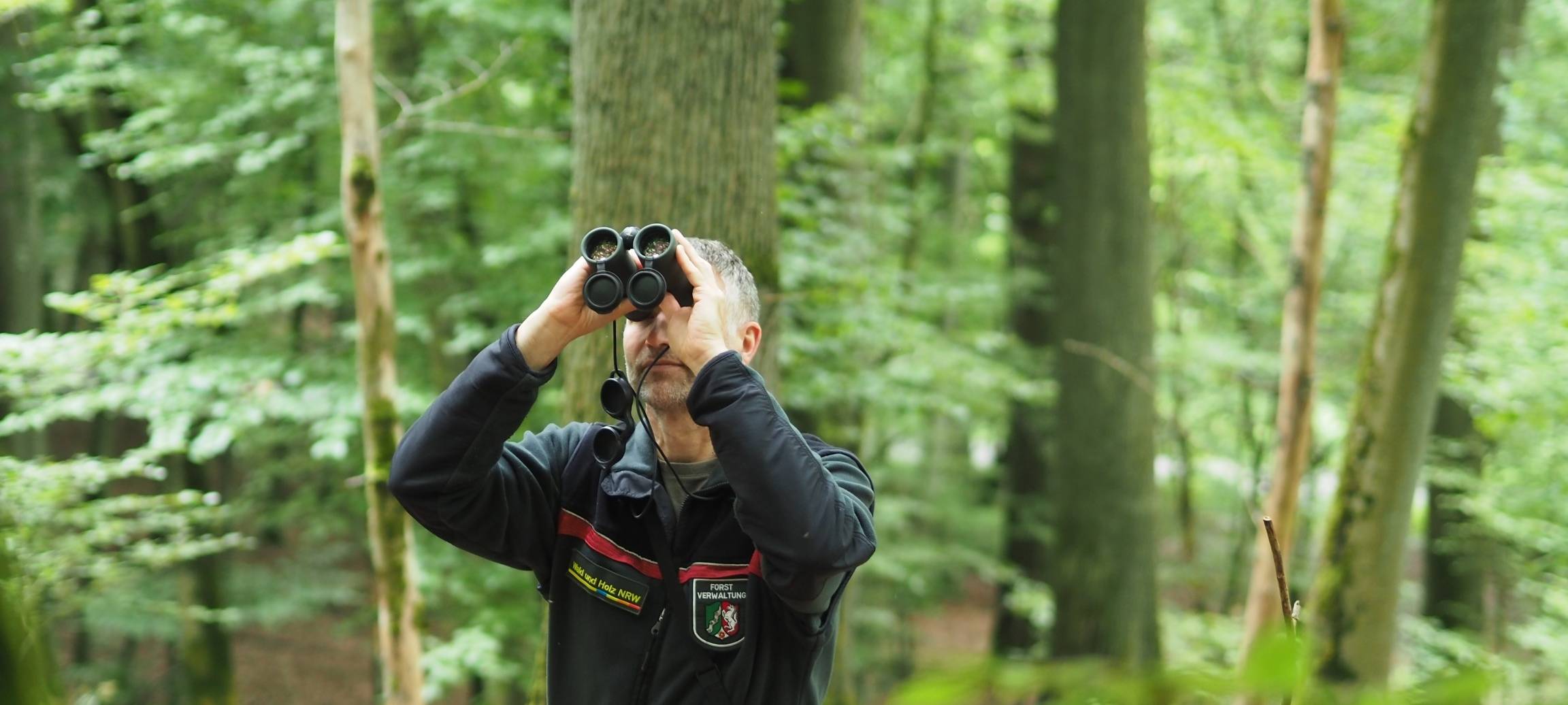 Experten prüfen Zustand der Wälder an Rhein und Erft