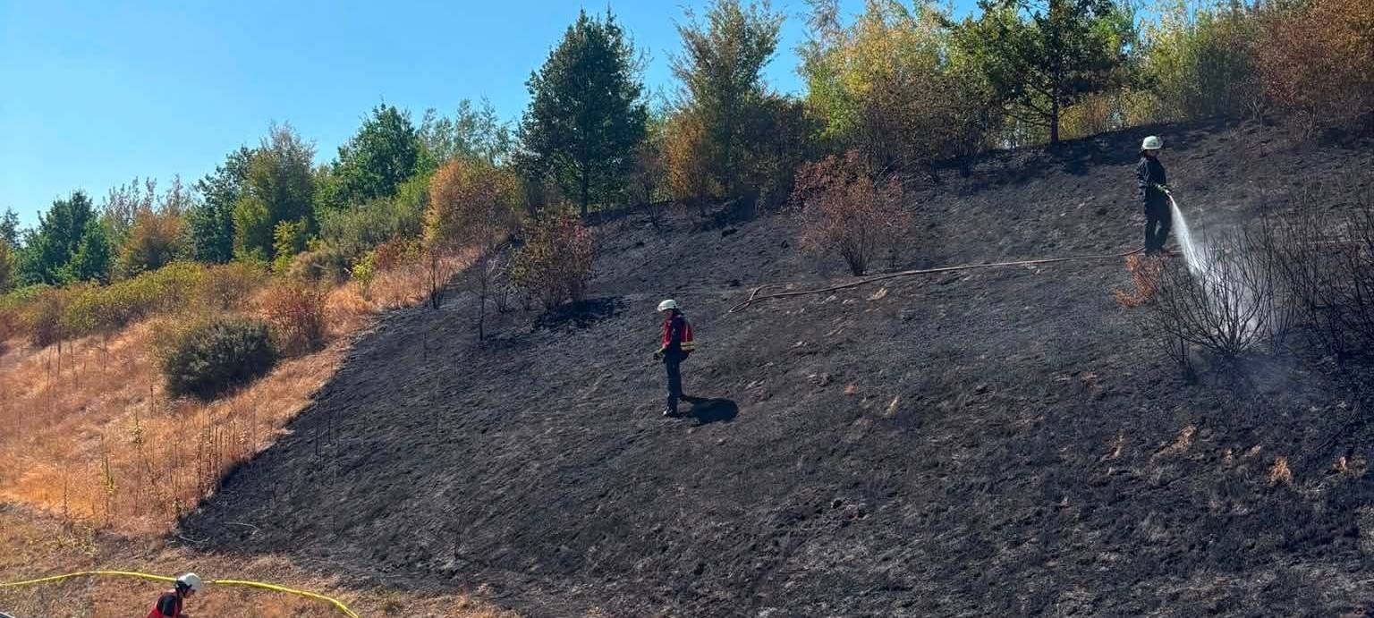 Böschungsbrand A4 bei Elsdorf