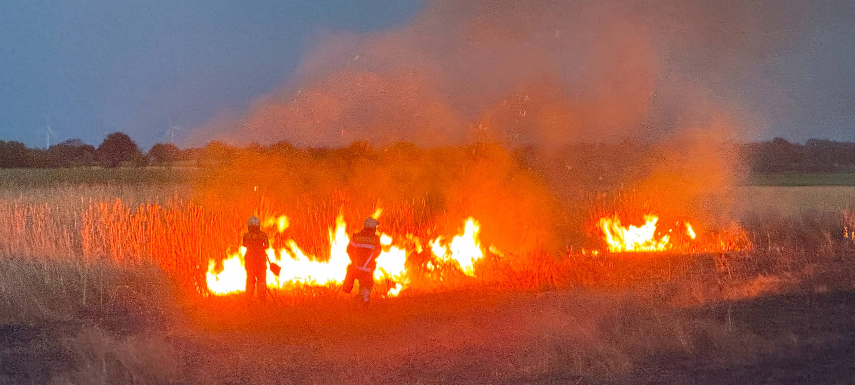 Feuerwehr löscht Feldbrand in Erftstadt-Erp