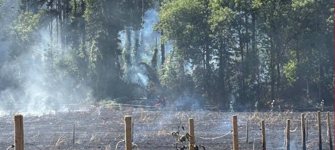 Brühler Feuerwehr hilft bei Flächenbrand in Bornheim
