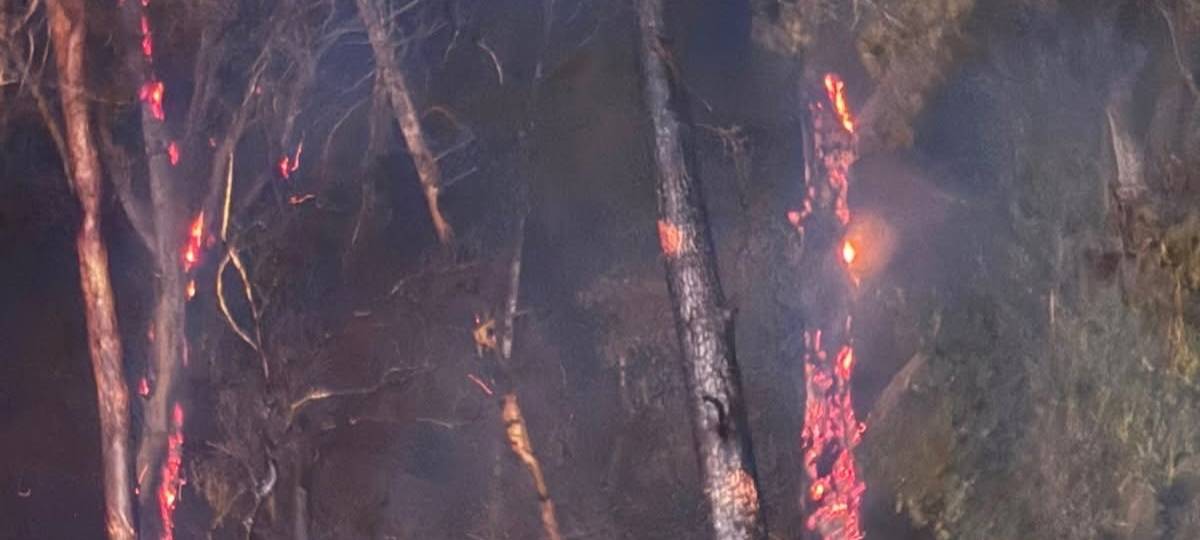 Waldbrand bei Düren: Rauch erreicht Erftstadt