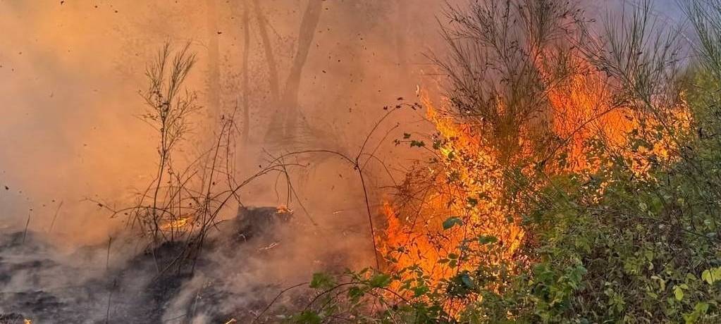 Liveticker: Waldbrand bei Hürtgenwald