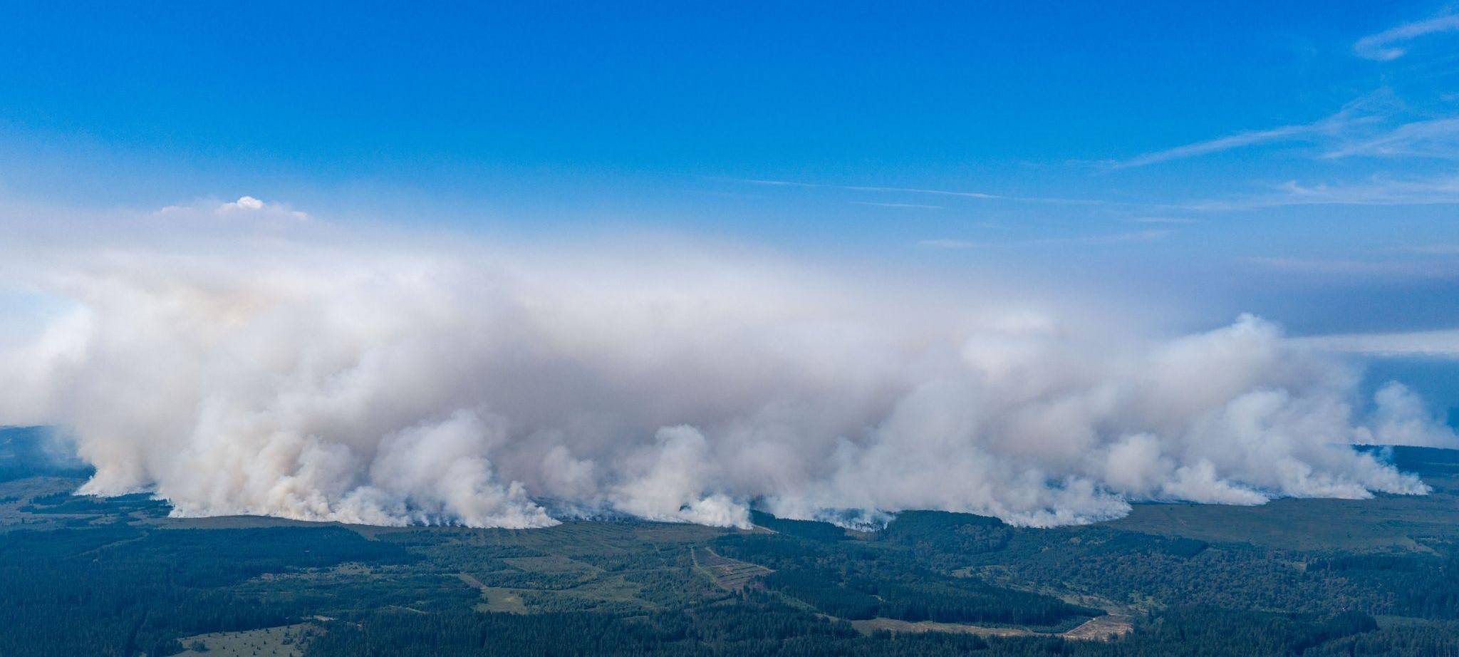 Waldbrand in Belgien