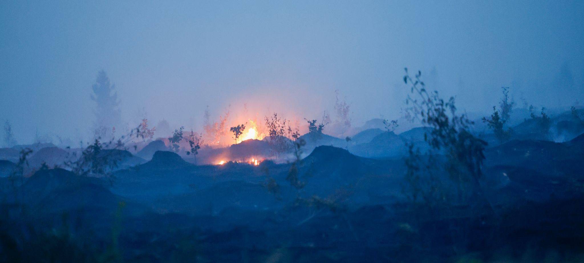 Waldbrand in Belgien