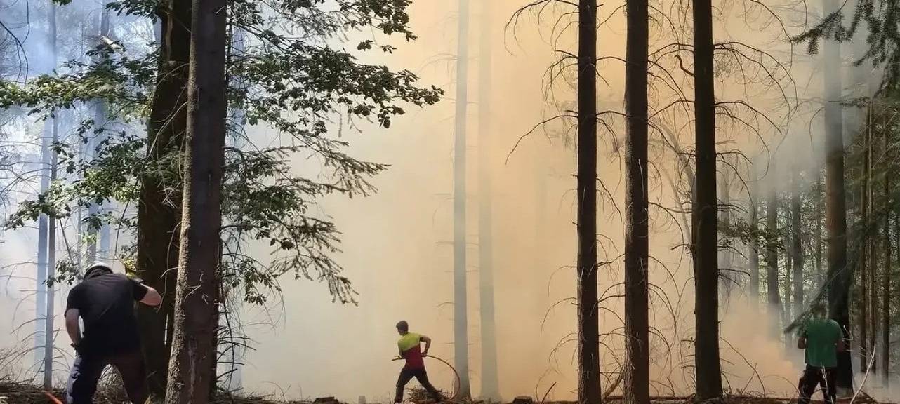 Waldbrand im Hürtgenwald ist gelöscht