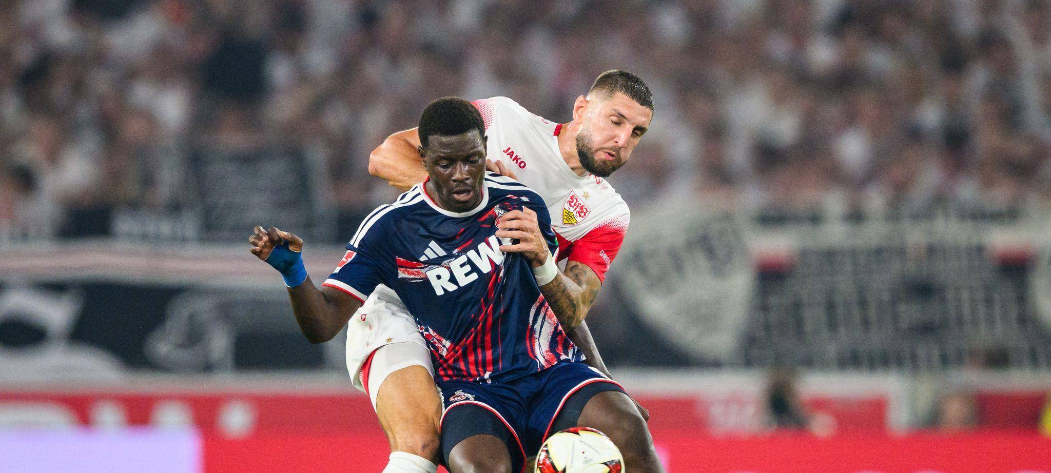 VfB Stuttgart - 1. FC Köln
