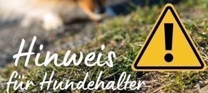 Rattengift in der Bedburger Teufelsschlucht