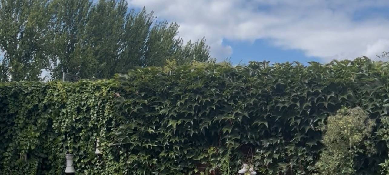 Ärger um Umleitung in Brühl-Ost